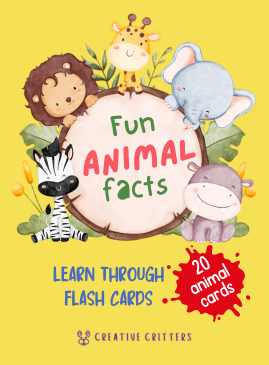 Animal Flash Cards