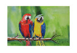 Wall Art, Brightly Colored Parrots‬ Wall Art