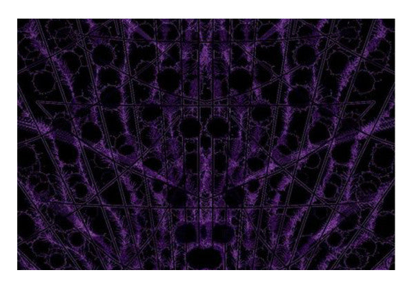 Spider-Web Wall Art