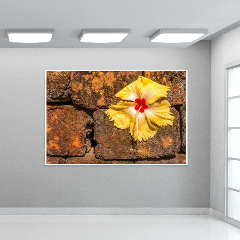 Chna Rose on Wall Art
