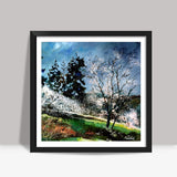 Hawthorn in blossom Square Art Prints