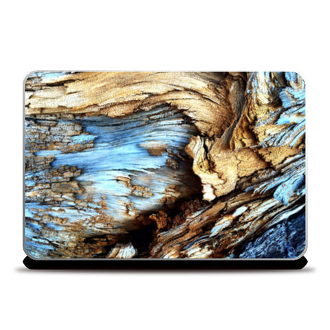 Into the Woods | Nature Edition Laptop Skins