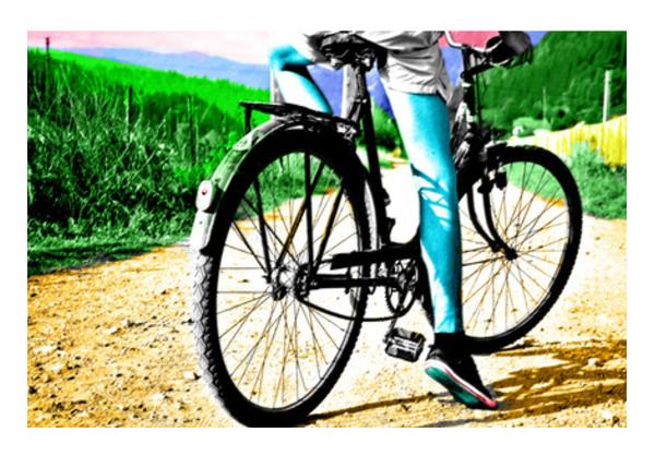Cycling wall art cheap