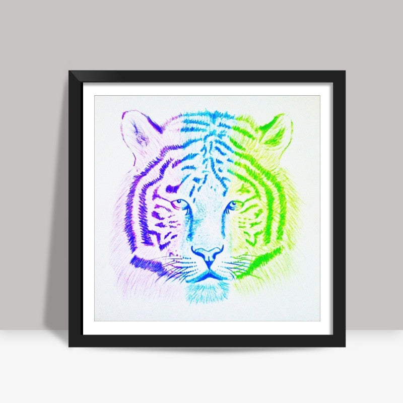 Three Coloured Tiger Square Art Prints