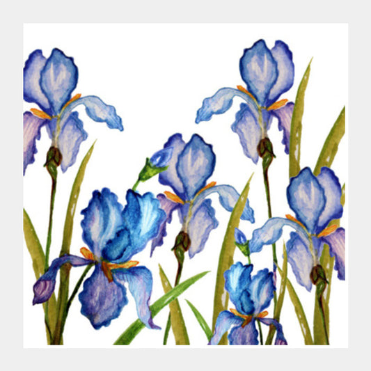 Handpainted Blue Iris Flowers Spring Garden Floral Square Art Prints