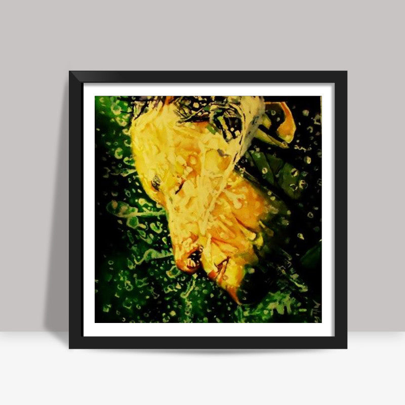 splash Square Art Prints