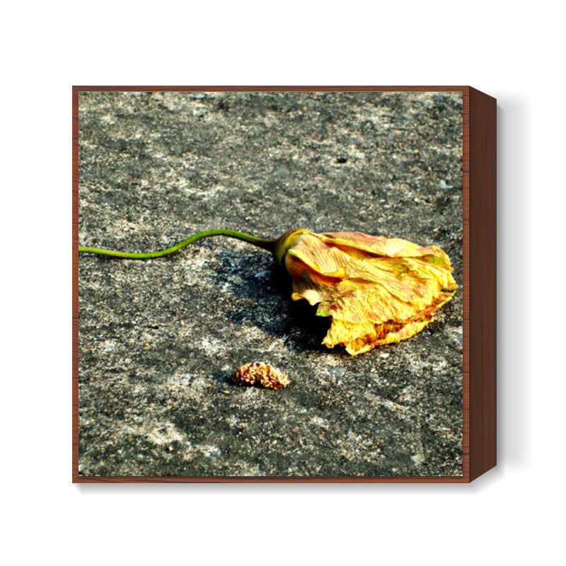 After life : Flower Square Art Prints