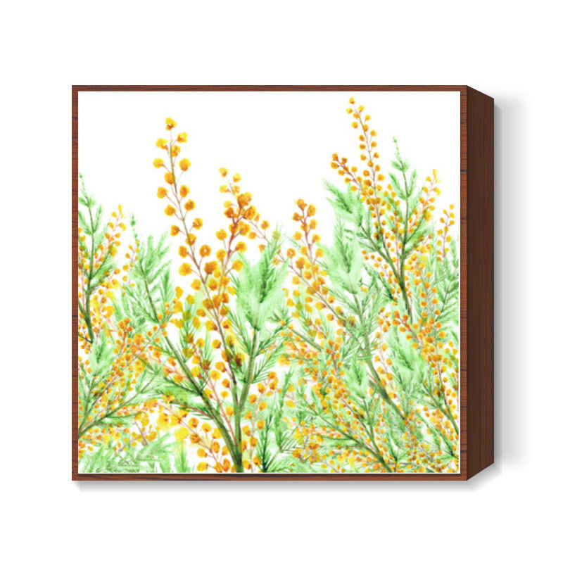 Painted Yellow Mimosa Flowers Botanical Illustration Square Art Prints