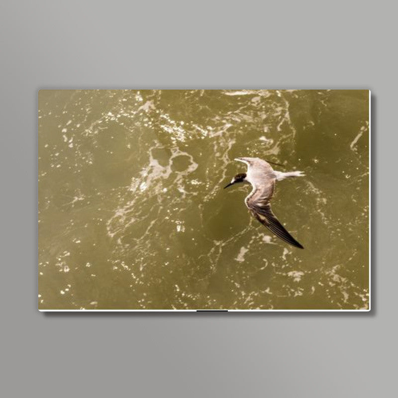 In Flight Wall Art