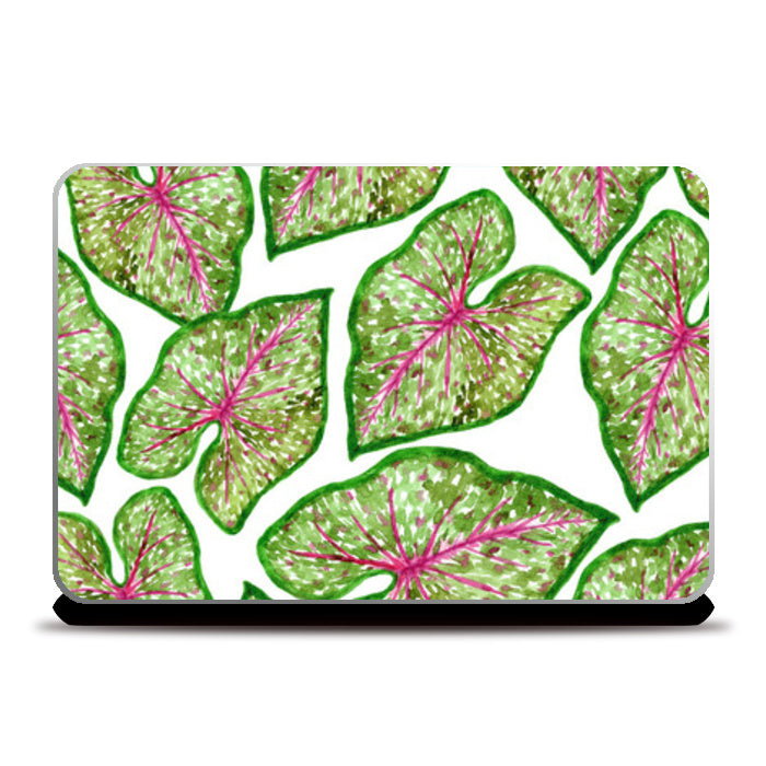 Caladium Leaves Tropical Watercolour Botanical Pattern  Laptop Skins