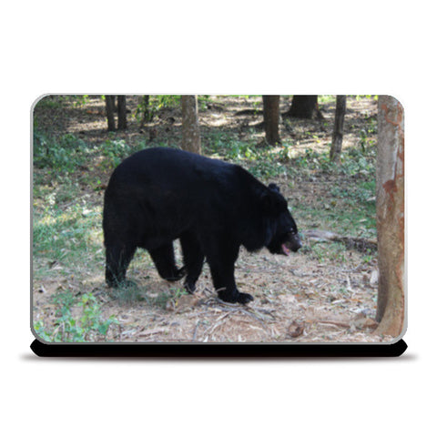 Laptop Skins, Black Bear Wildlife Animal Photography Laptop Skins
