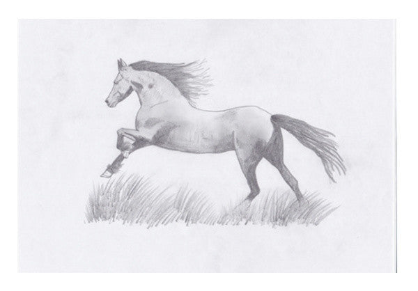 The Stallion Art PosterGully Specials