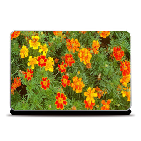 Bright Marigold Spring Flowers Nature Photography Floral Print Laptop Skins