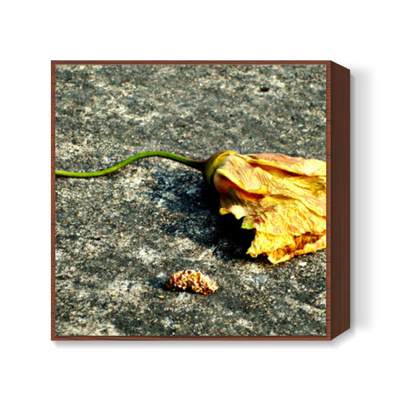 After life : Flower Square Art Prints
