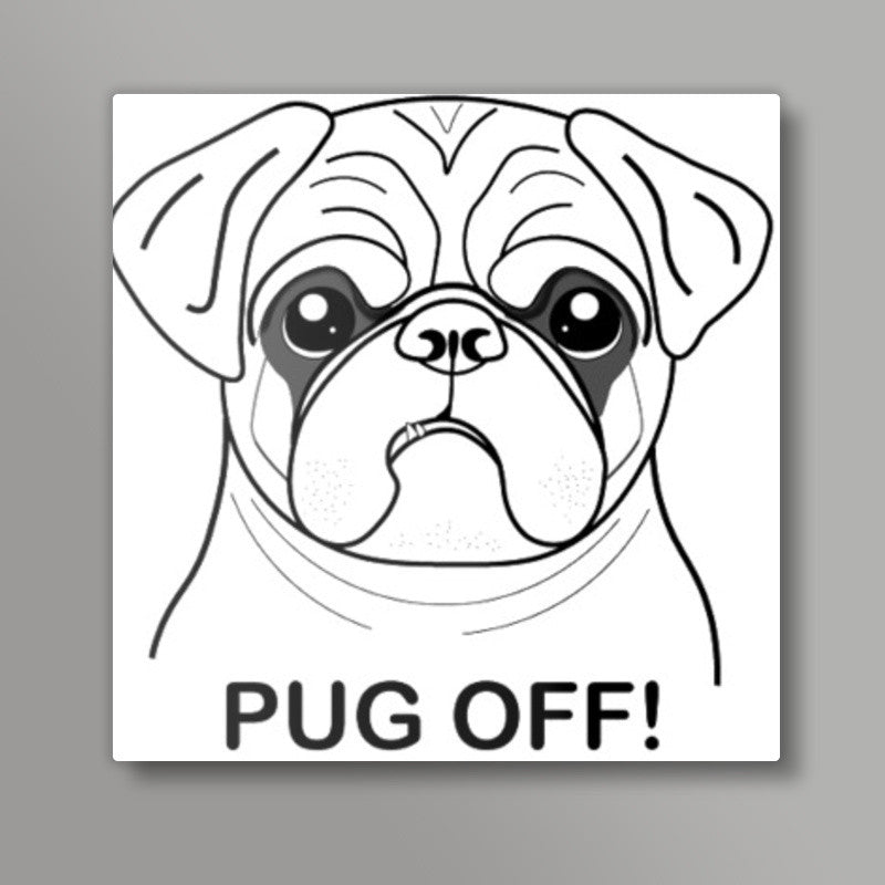 Angry Pug Square Art