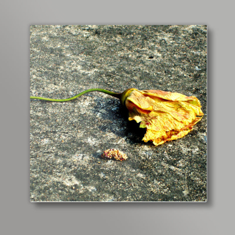 After life : Flower Square Art Prints