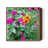 Beautiful Pink Zinnia Flowers Garden Photography Background Spring Print  Square Art Prints