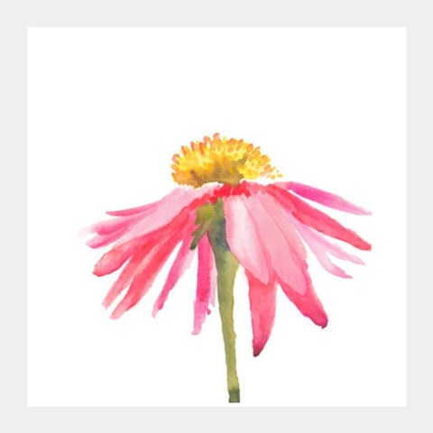 Pink Daisy Square Art Prints PosterGully Specials