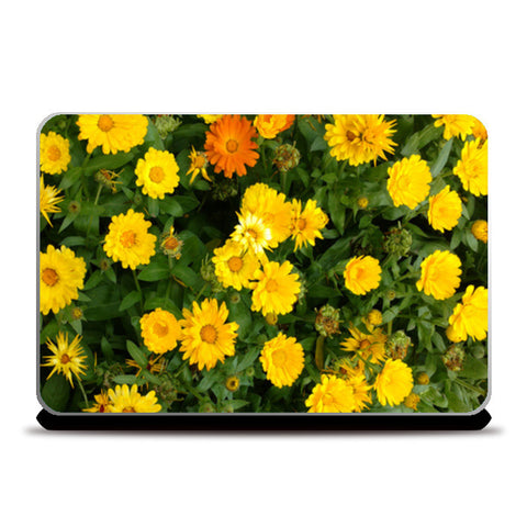 Yellow Calendula Flowers Nature Garden Photography  Laptop Skins