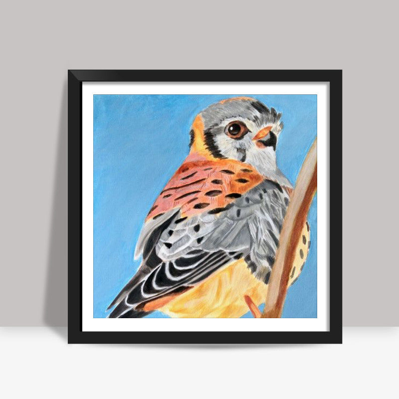 Kestrel Bird Square Artwork