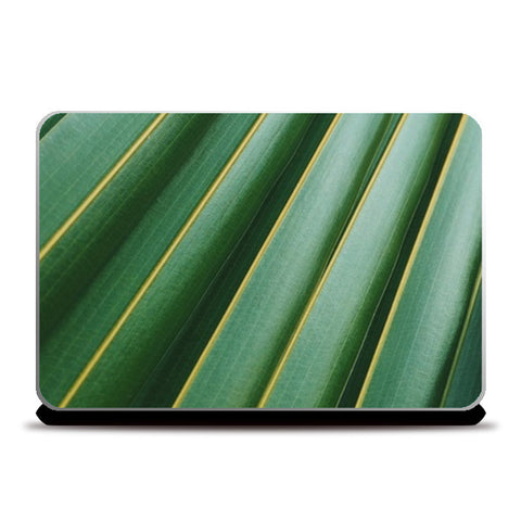 Laptop Skins, Tree Laptop Skins