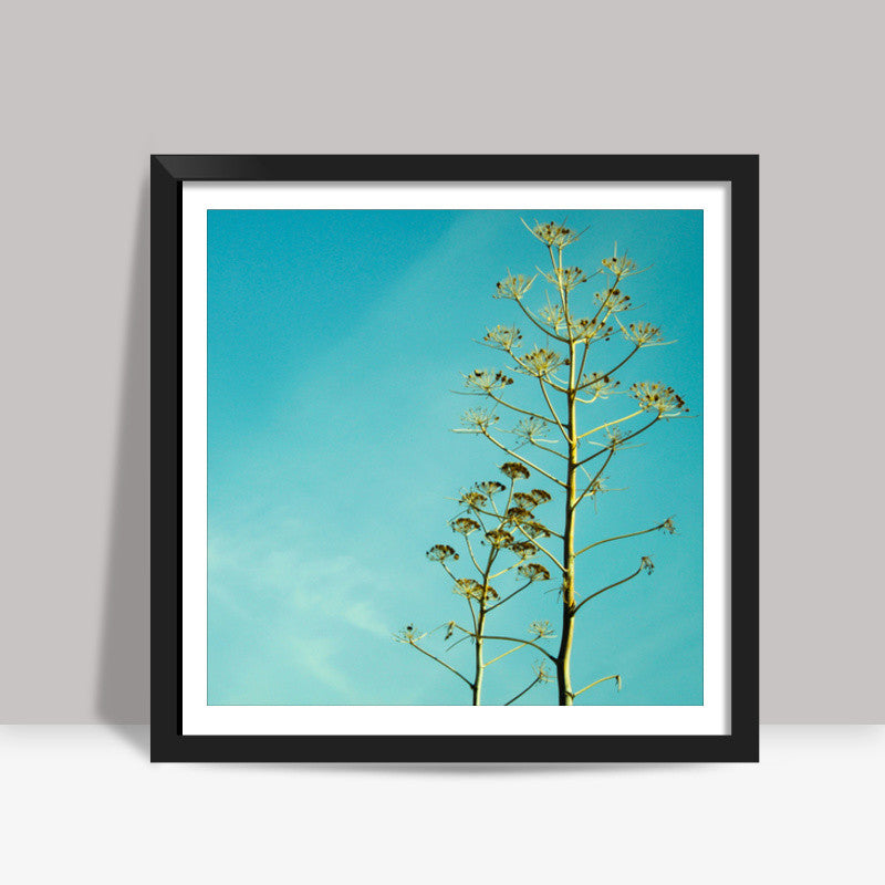 Fern in the Turkish sky 2 Square Art Prints