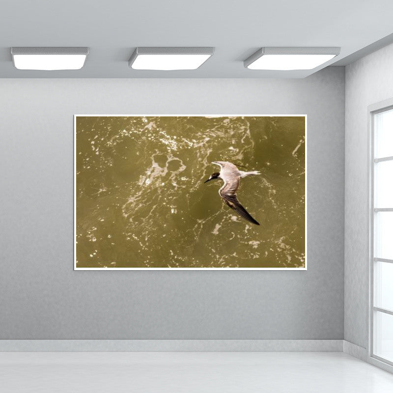 In Flight Wall Art