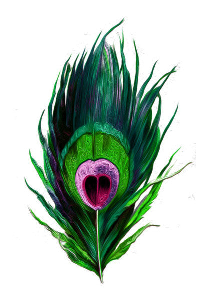 Wall Art, Peacock Feather Wall Art