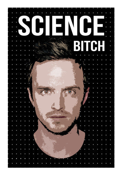 Breaking Bad  Jesse Pinkman Art PosterGully Specials