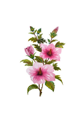 Painted Pink Hibiscus Flowers Tropical Floral  Wall Art
