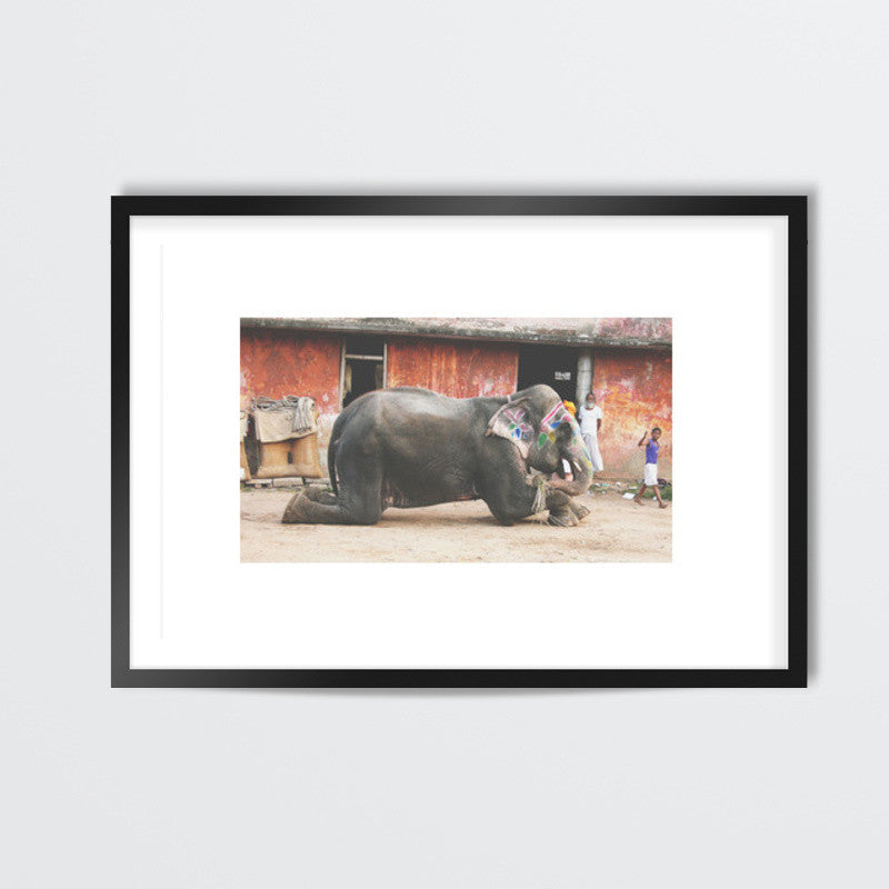 Haati mere saathi Wall Art