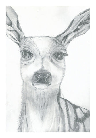 Dear Deer Pencil Sketch Art PosterGully Specials