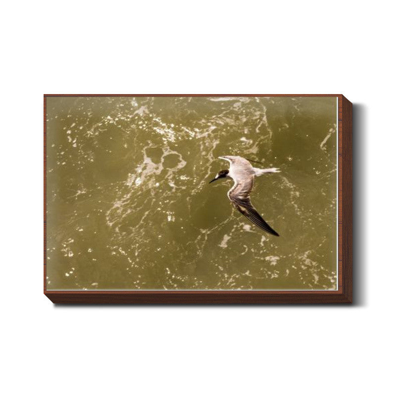In Flight Wall Art