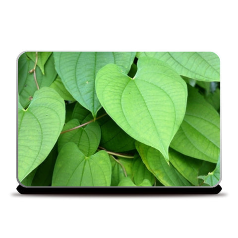 Laptop Skins, green Leaves Laptop Skins