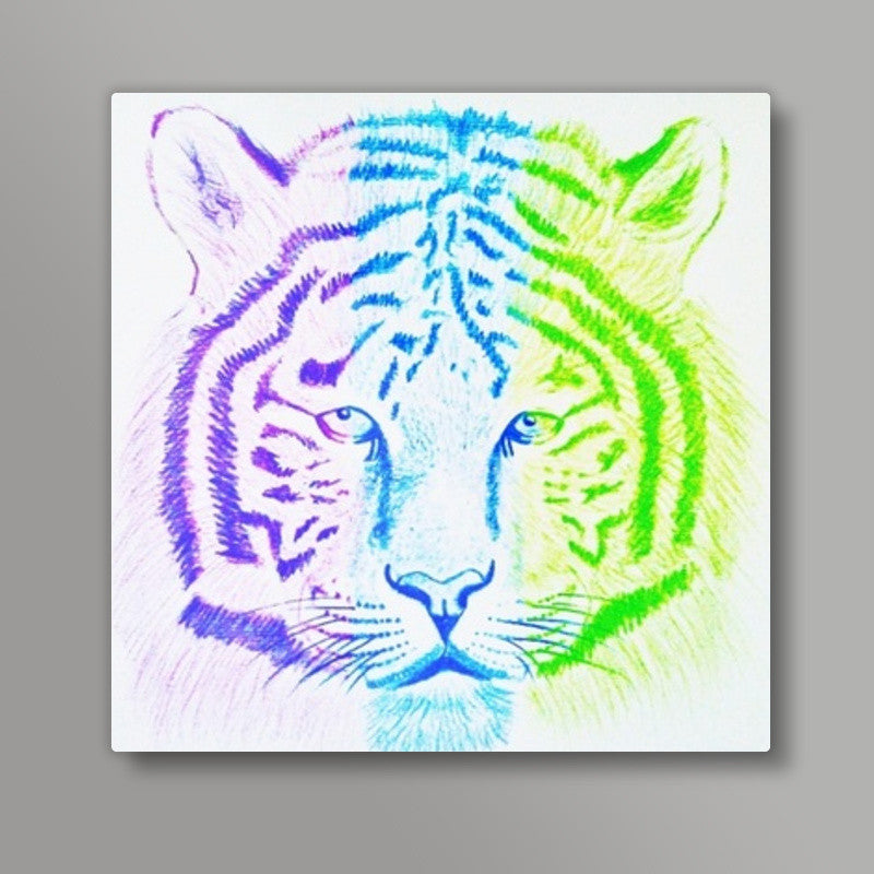 Three Coloured Tiger Square Art Prints