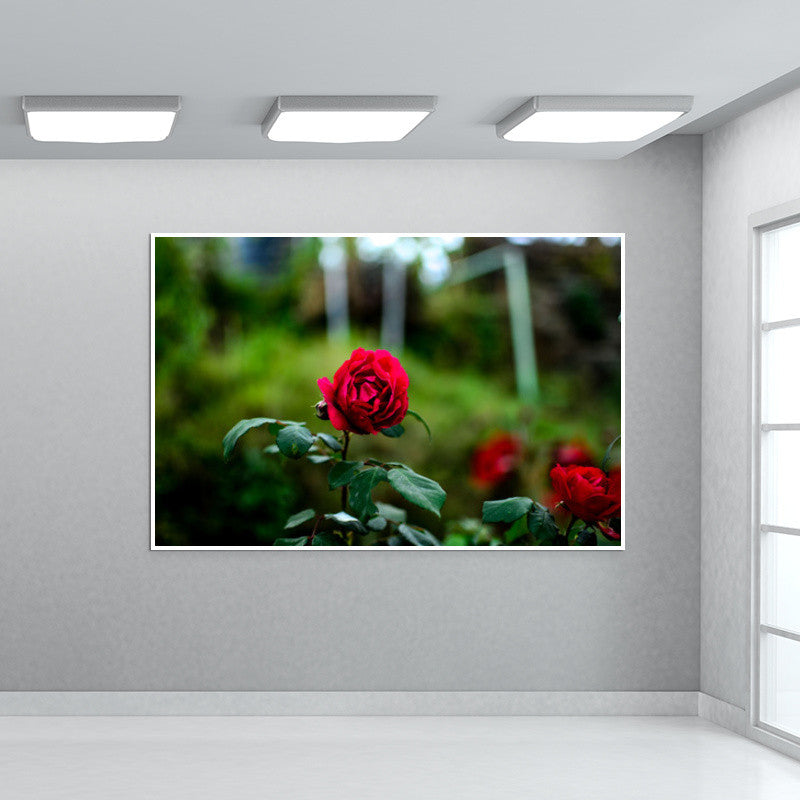 Rose Wall Art