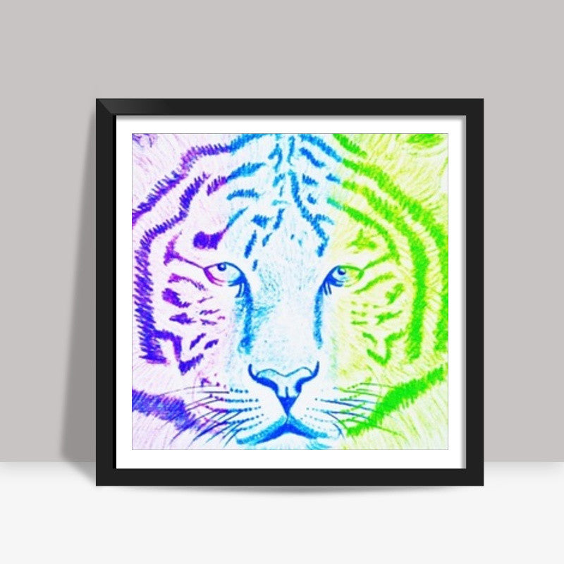 Three Coloured Tiger Square Art Prints