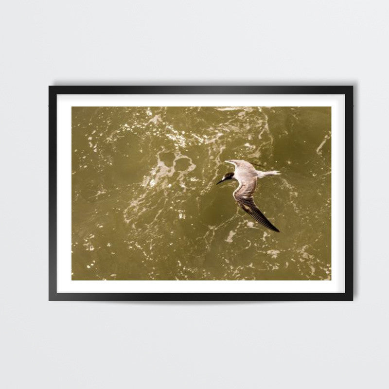 In Flight Wall Art