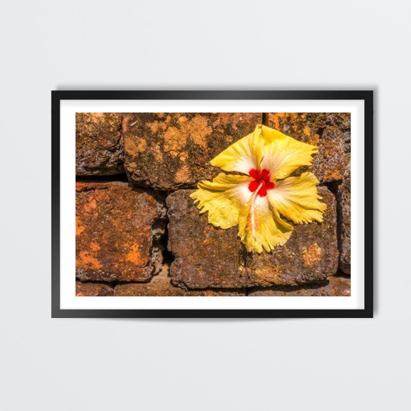 Chna Rose on Wall Art