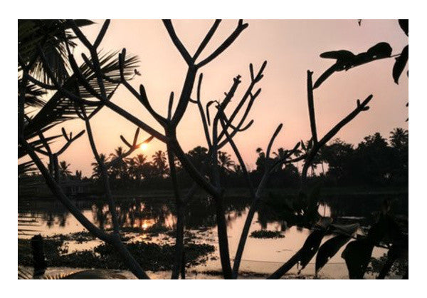 Wall Art, Sunset Wall Art