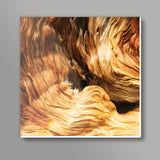 Into the Woods - Wood Pattern | Nature Edition Square Art Prints
