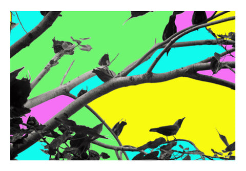 Birdies in Color Wall Art