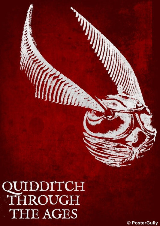 Wall Art, Harry Potter Quidditch, - PosterGully