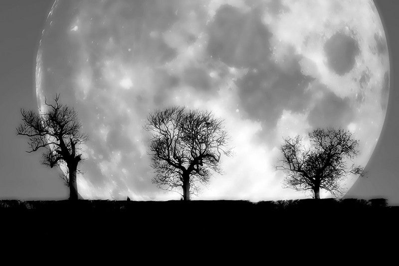 Matches Every Thought Buy HighQuality Posters and Framed Posters