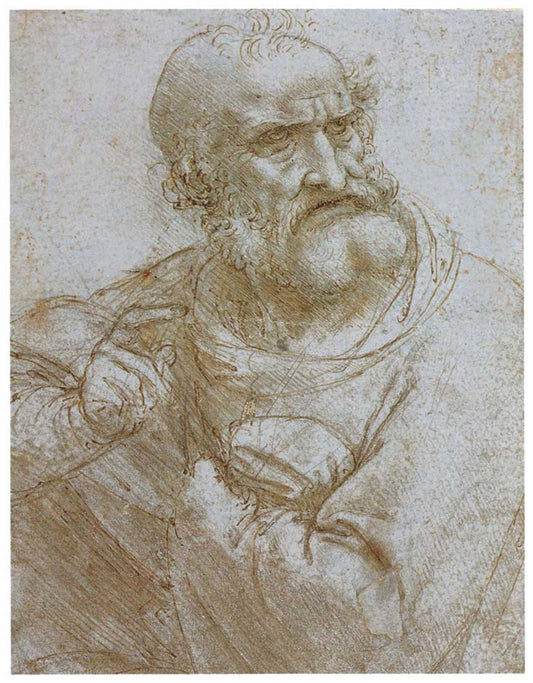Seven Rays, Self Portrait by Leonardo da Vinci, - PosterGully