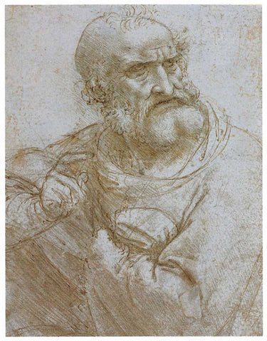 Seven Rays, Self Portrait by Leonardo da Vinci, - PosterGully