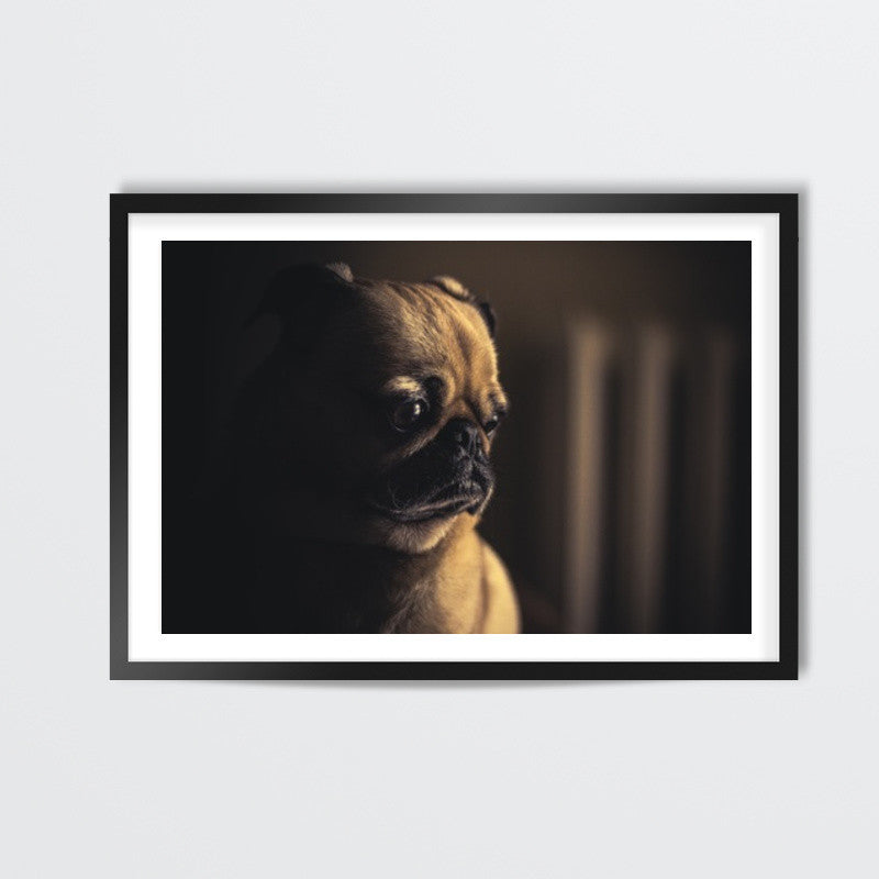 Pug Wall Art