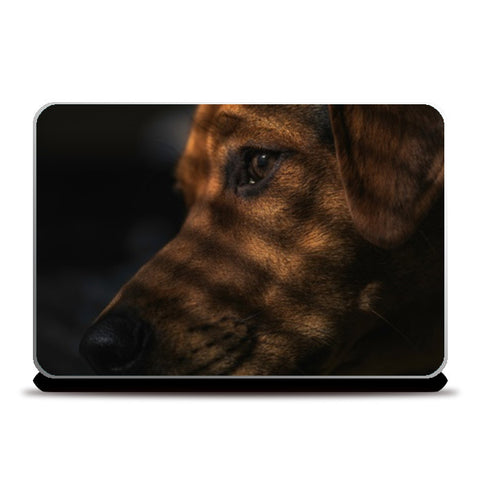 Laptop Skins, Dog Dreaming Laptop Skins
