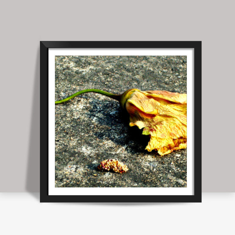 After life : Flower Square Art Prints