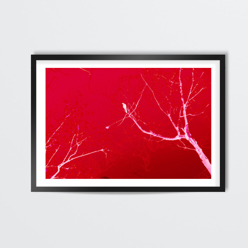 Bloody Death Wall Art